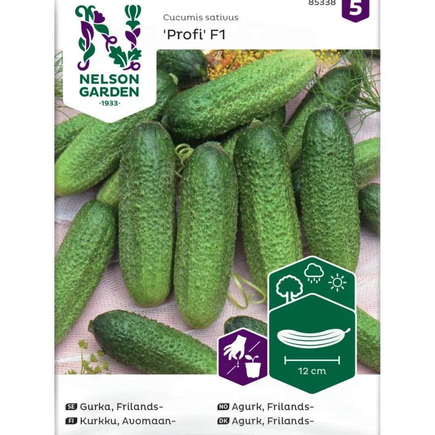 Avomaankurkku Nelson Garden Profi F1, siemenet