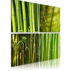 Canvas-taulu Artgeist Bambu, eri kokoja
