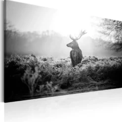 Canvas-taulu Artgeist Black and White Deer, eri kokoja