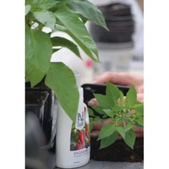 Chiliravinne Nelson Garden, 250ml