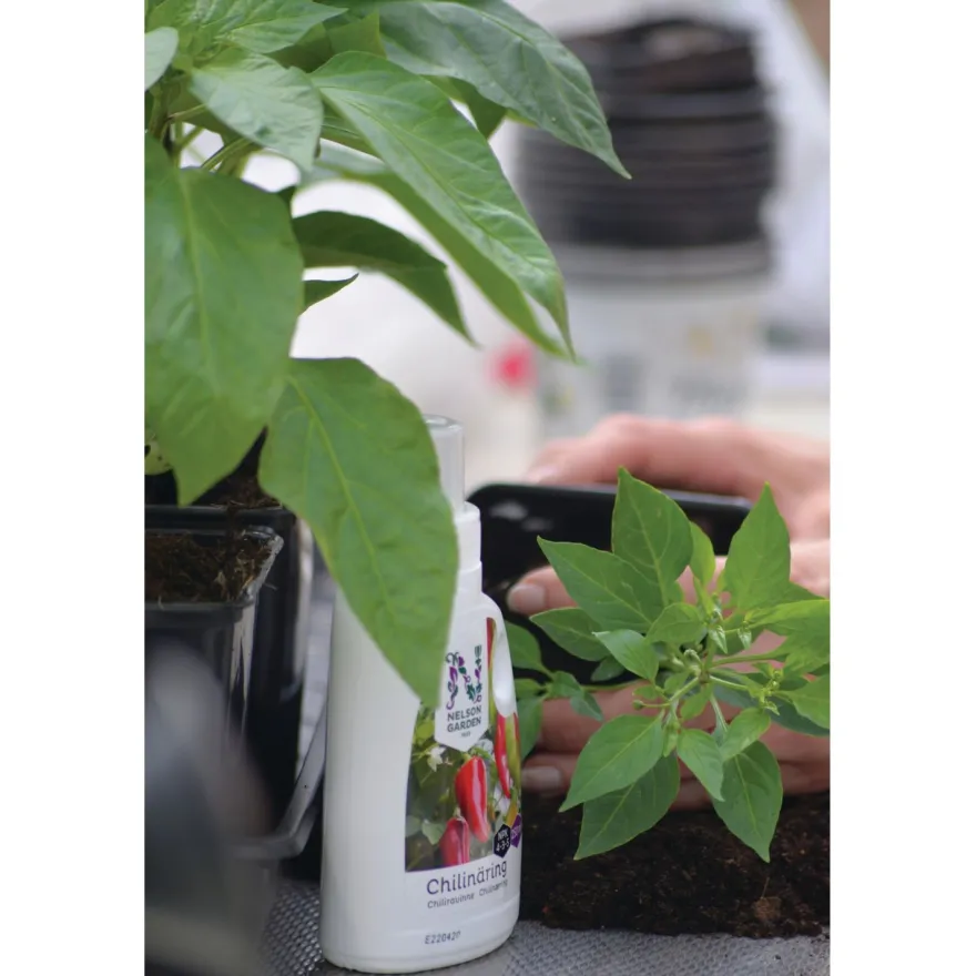 Chiliravinne Nelson Garden, 250ml