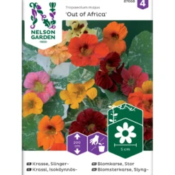 Isoköynnöskrassi Nelson Garden Out of Africa, siemenet