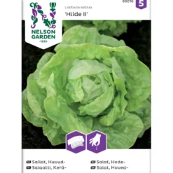 Keräsalaatti Nelson Garden Hilde II, kylvönauha, siemenet