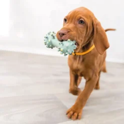 Koiranlelu Trixie Junior lateksipuntti, äänetön, 10cm