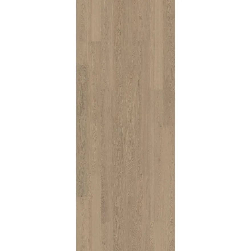 Kovetettu puulattia Bjelin Contrast, eri värejä