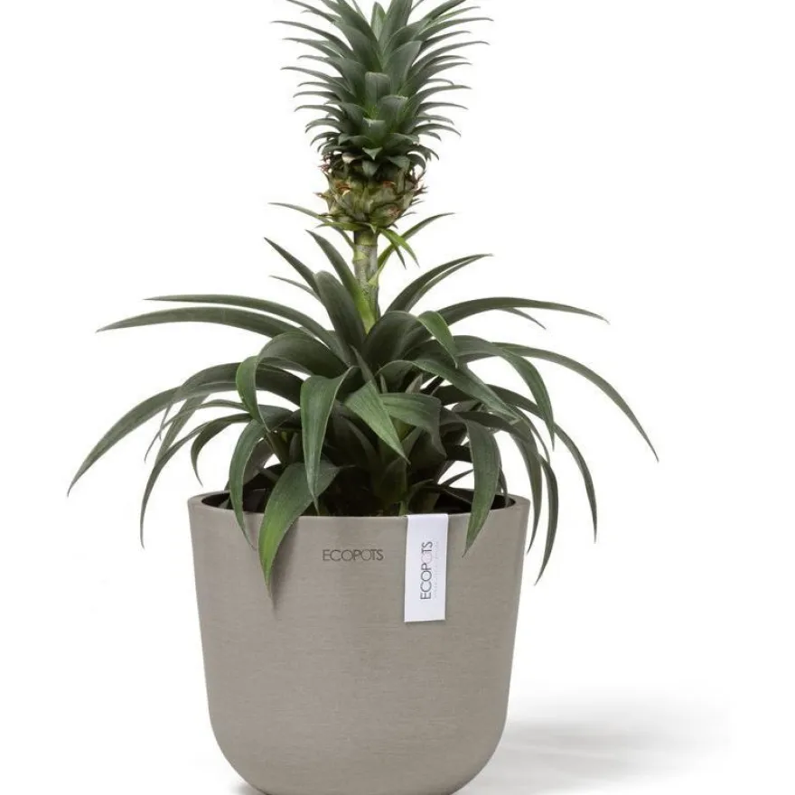 Kukkaruukku Ecopots Oslo Mini, eri kokoja ja värejä