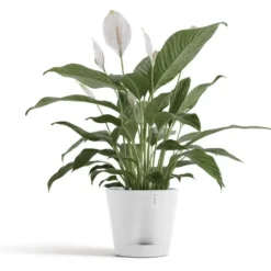 Kukkaruukku Ecopots Venetsia 2.0, eri kokoja ja värejä