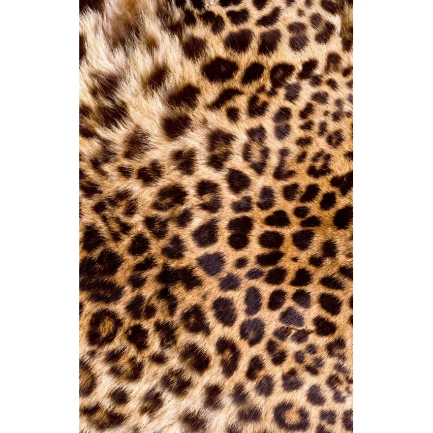 Kuvatapetti Dimex Leopard Skin, 150x250cm, oranssi