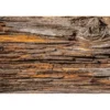 Kuvatapetti Dimex Tree Bark, 375x250cm, ruskea, puukuosi
