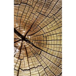Kuvatapetti Dimex Wood, 150x250cm, ruskea, puukuosi