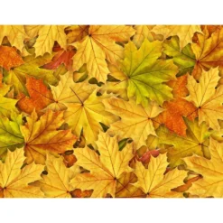 Kuvatapetti Rebel Walls Autumn Leaves, non-woven, mittatilaus