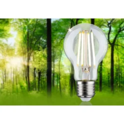 LED-filamenttilamppu Paulmann Eco-Line Pear, E27, 525lm, 2.5W, 3000K, kirkas
