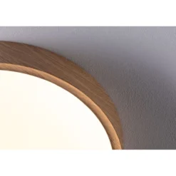 LED-kattovalaisin Paulmann Tega, IP44, 1200lm, 22.5W, säädettävä värilämpötila, eri värejä