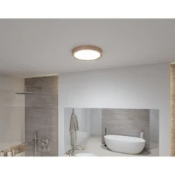 LED-kattovalaisin Paulmann Tega, IP44, 1200lm, 22.5W, säädettävä värilämpötila, eri värejä