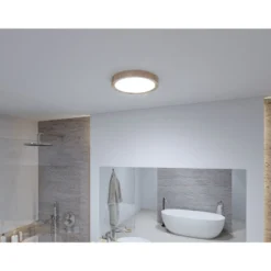 LED-kattovalaisin Paulmann Tega, IP44, 1200lm, 22.5W, säädettävä värilämpötila, eri värejä