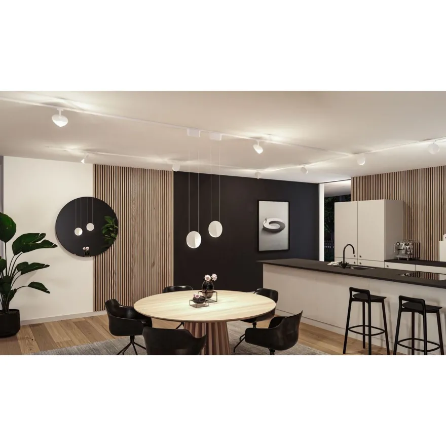 LED-kiskospotti Paulmann URail Alejandro 800lm 10W 3-Step-Dim himmennettävä, eri vaihtoehtoja