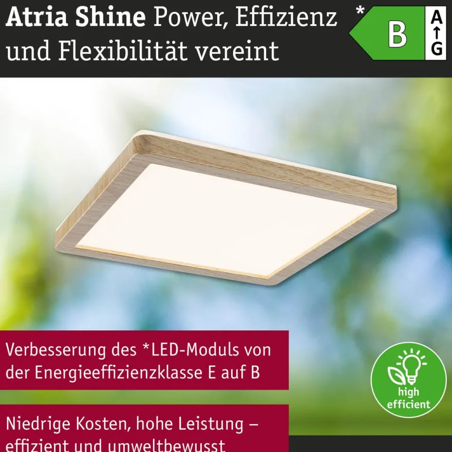 LED-paneeli Paulmann Atria Shine, kulmikas, IP44, 3000-6500K, eri kokoja