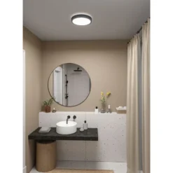 LED-paneeli Paulmann Cosara, IP44, Ø30cm, 15W, 3000K, eri värejä