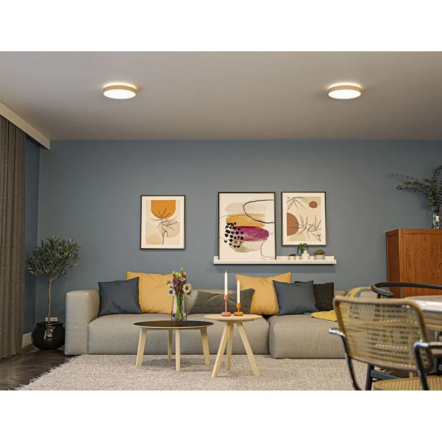 LED-paneeli Paulmann Cosara, IP44, Ø30cm, 15W, 3000K, eri värejä