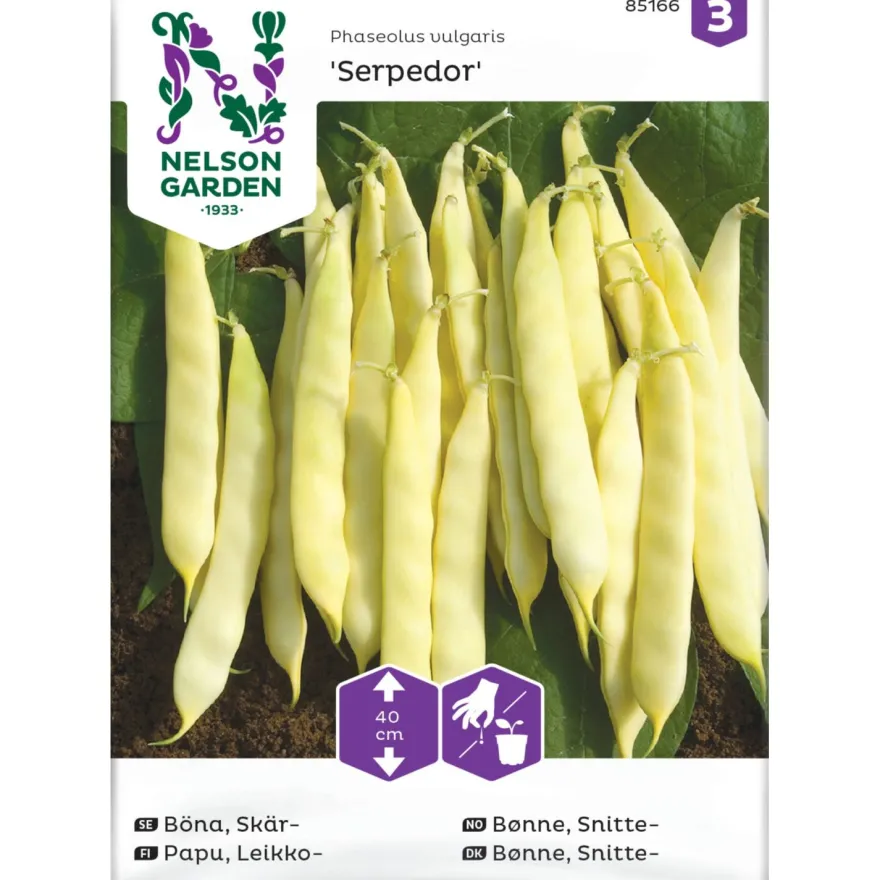 Leikkopapu Nelson Garden Serpedor, siemenet