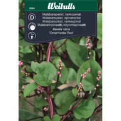 Pinaatin siemenet Weibulls Malabar