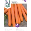 Porkkana Nelson Garden Flyaway F1, siemenet