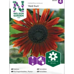 Puna-auringonkukka Nelson Garden Red Sun, siemenet
