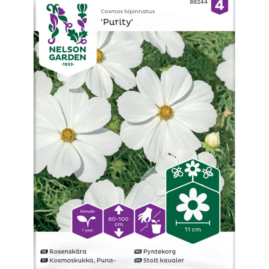 Punakosmoskukka Nelson Garden Purity, siemenet