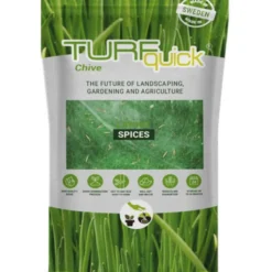 Ruohosipulin siemenet Turfquick, kasvualustalla