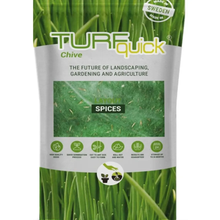Ruohosipulin siemenet Turfquick, kasvualustalla