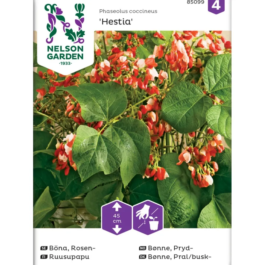 Ruusupapu Nelson Garden Hestia, matala, siemenet