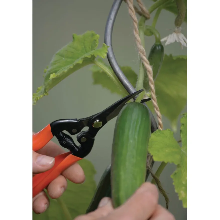 Sadonkorjuusakset Nelson Garden Curved Blade, 19 cm