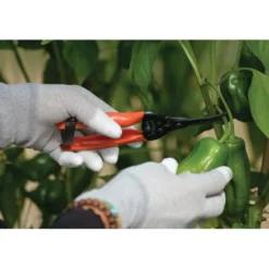 Sadonkorjuusakset Nelson Garden Curved Blade, 19 cm