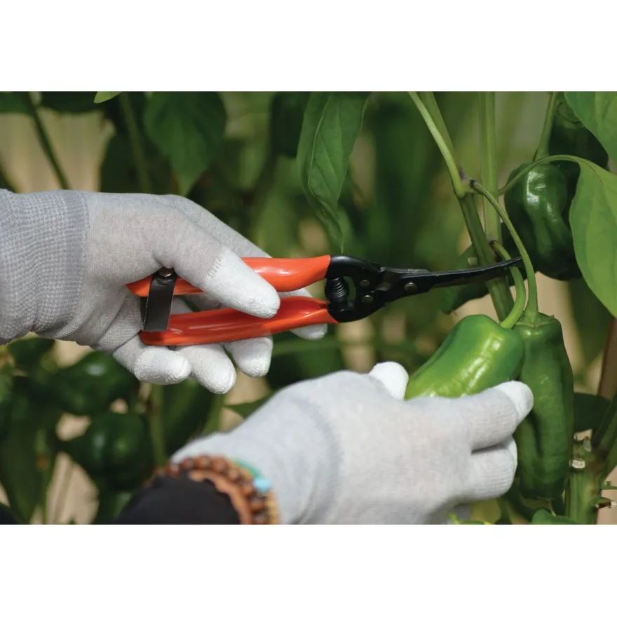 Sadonkorjuusakset Nelson Garden Curved Blade, 19 cm
