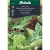 Salaatin siemenet Weibulls baby leaf mix