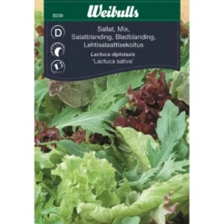 Salaatin siemenet Weibulls baby leaf mix