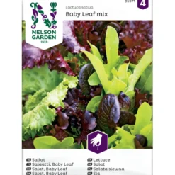 Salaattiseos Nelson Garden Baby Leaf, siemenet