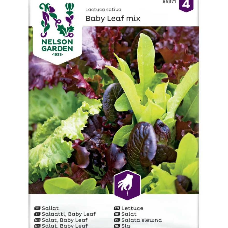 Salaattiseos Nelson Garden Baby Leaf, siemenet