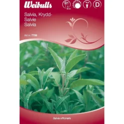 Salvian siemenet Weibulls mauste