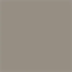 Seinälaatta Pukkila Harmony Savannah grey, kiiltävä, sileä, 197x197mm