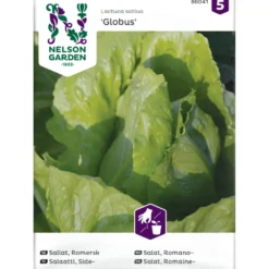 Sidesalaatti Nelson Garden Globus, siemenet
