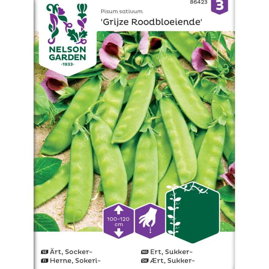 Sokeriherne Nelson Garden Grijze Roodboeiende, siemenet