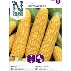 Sokerimaissi Nelson Garden Tasty Sweet F2, siemenet
