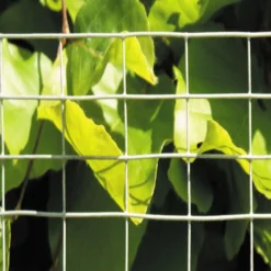 Suojaverkko Hortus, 12.5x25-0.9mm, 1x5m, galvanoitu