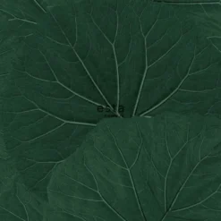 Tapetti ESTA Jungle Fever 138997, non-woven, luonto, vihreä