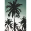 Tapetti ESTA Jungle Fever 158899, 1.86x2.79m, non-woven, monivärinen