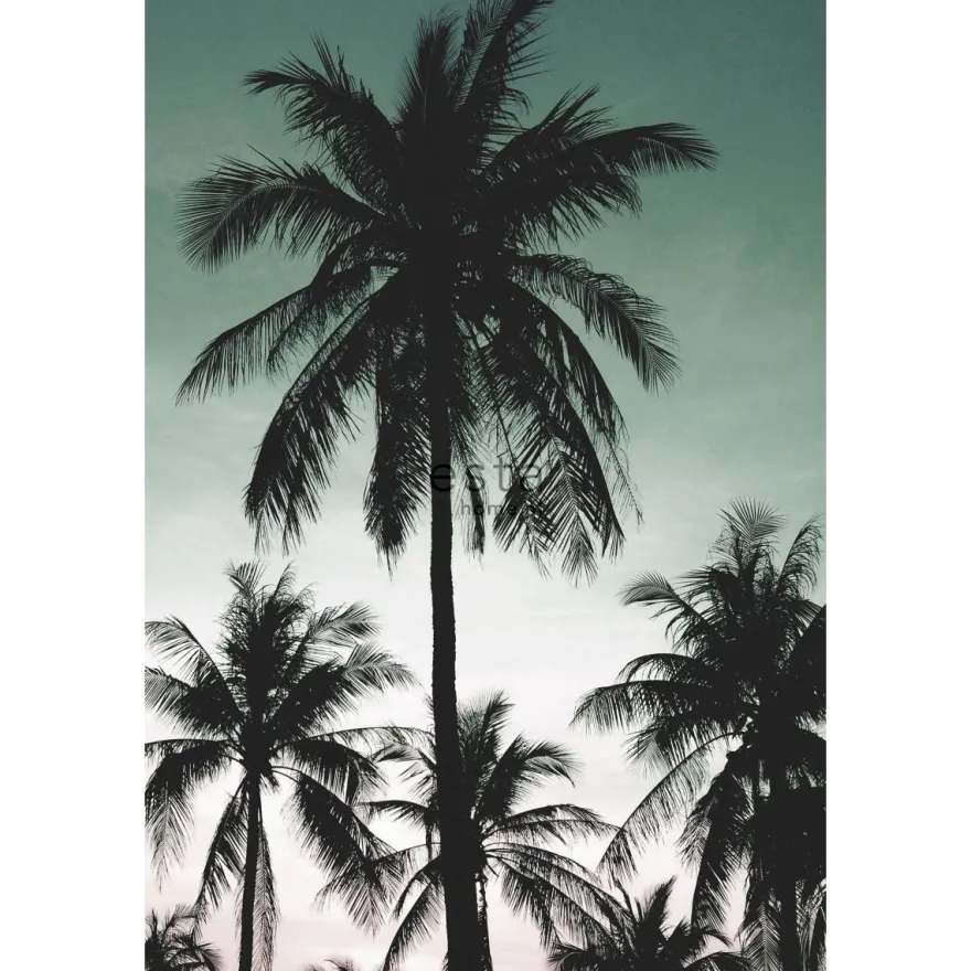 Tapetti ESTA Jungle Fever 158899, 1.86x2.79m, non-woven, monivärinen