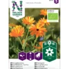 Tarhakehäkukka Nelson Garden väriseos Organic, siemenet