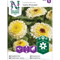 Tarhakehäkukka Nelson Garden Ivory Princess, siemenet