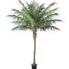 Tekopuu Home4You WIND PALM K260 cm, vihreä